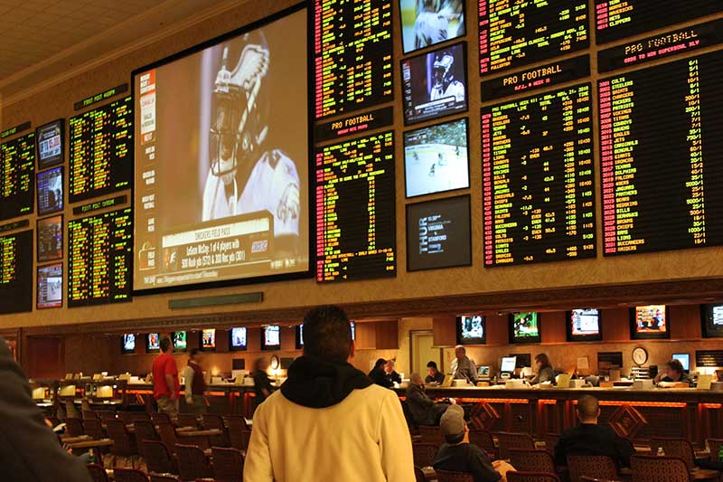 sports gambling business